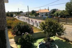 Alcides ElisaPadaria Lda