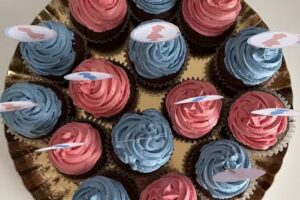 Alice no País dos Cupcakes