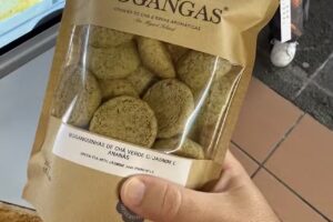 Bogangas