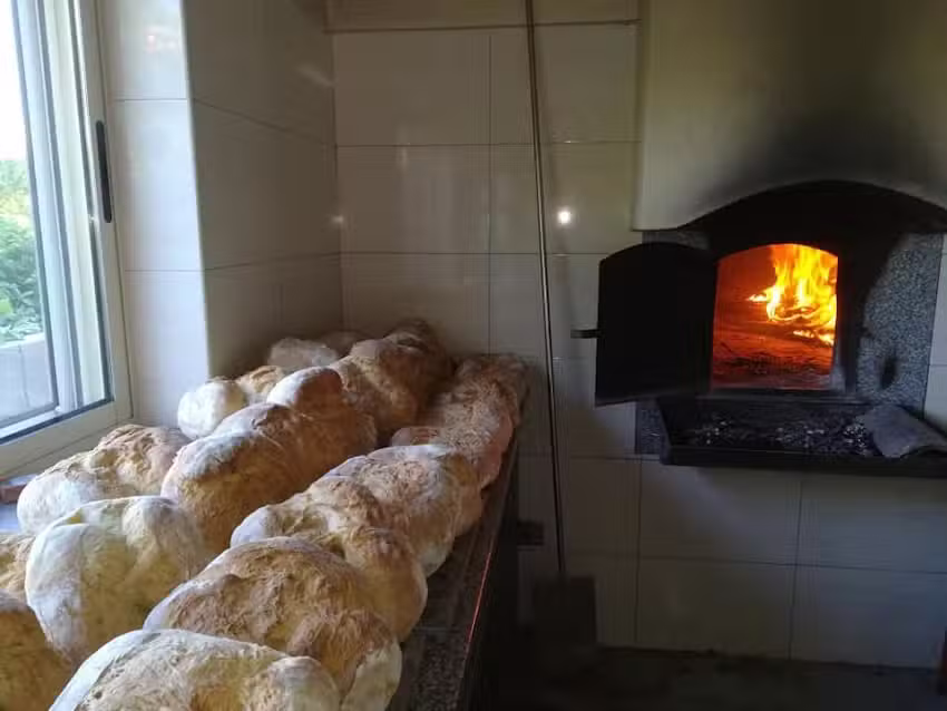 Bolinhos da Zélia