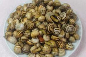 Café Pastelaria Millenium