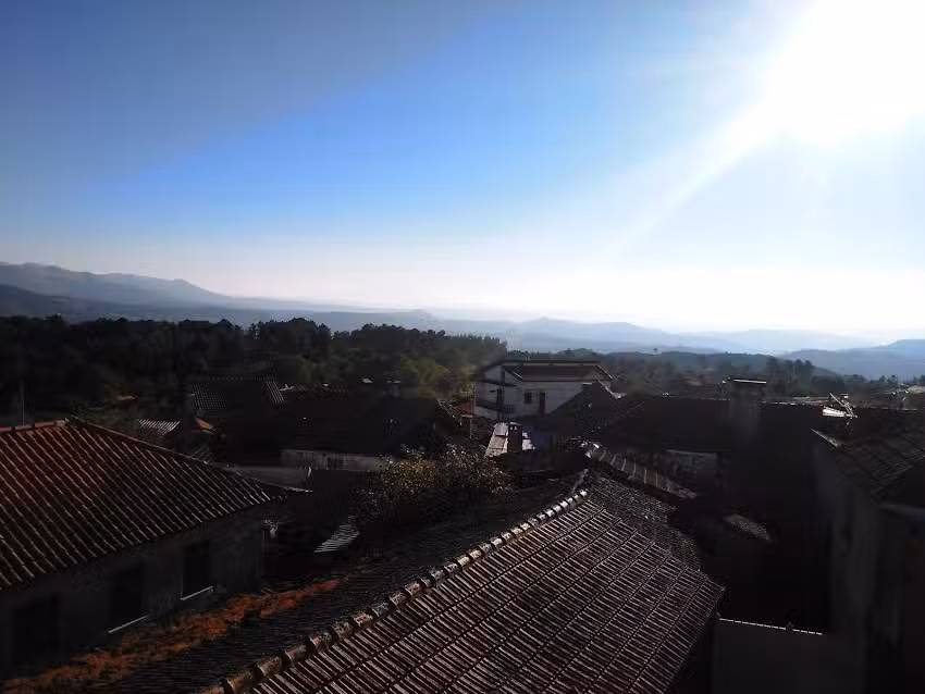 Cinderela de Murça Fabrico De Pão E Pastelaria Lda