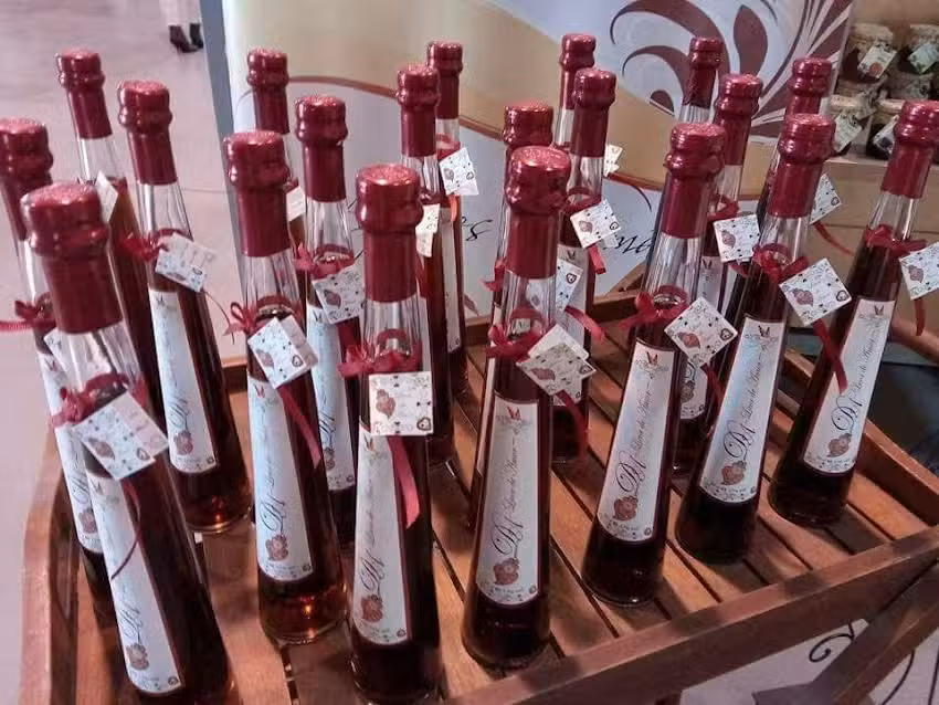 Continente Modelo Lousada