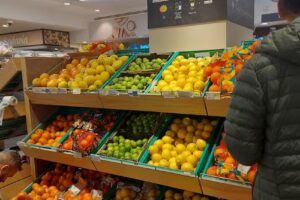 Continente Modelo Seminário