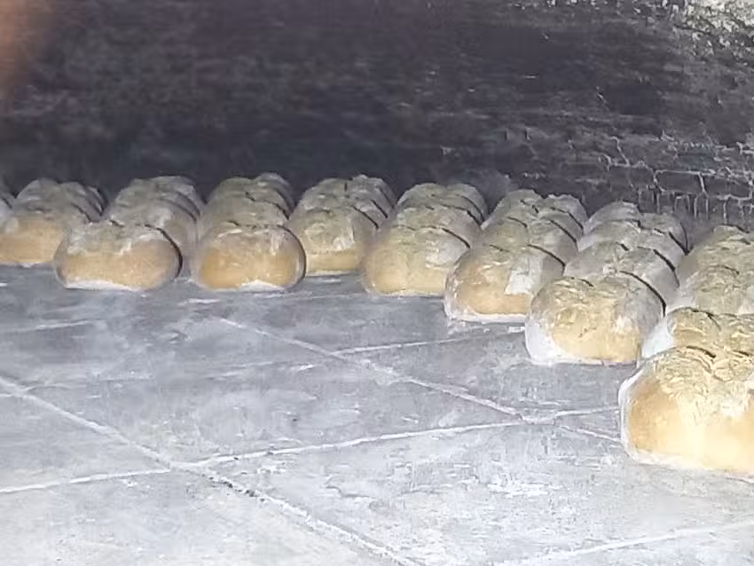 Empresa De Panificação Estrela Silvense Lda