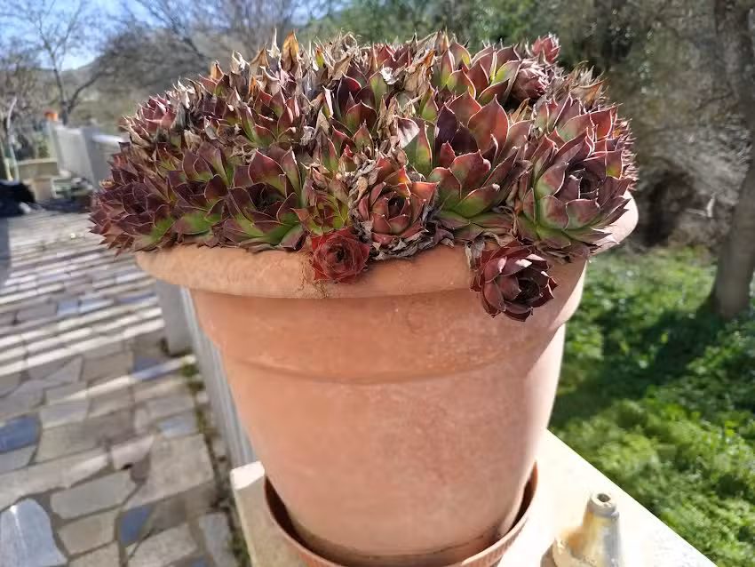 Fábrica Pão de Gimonde