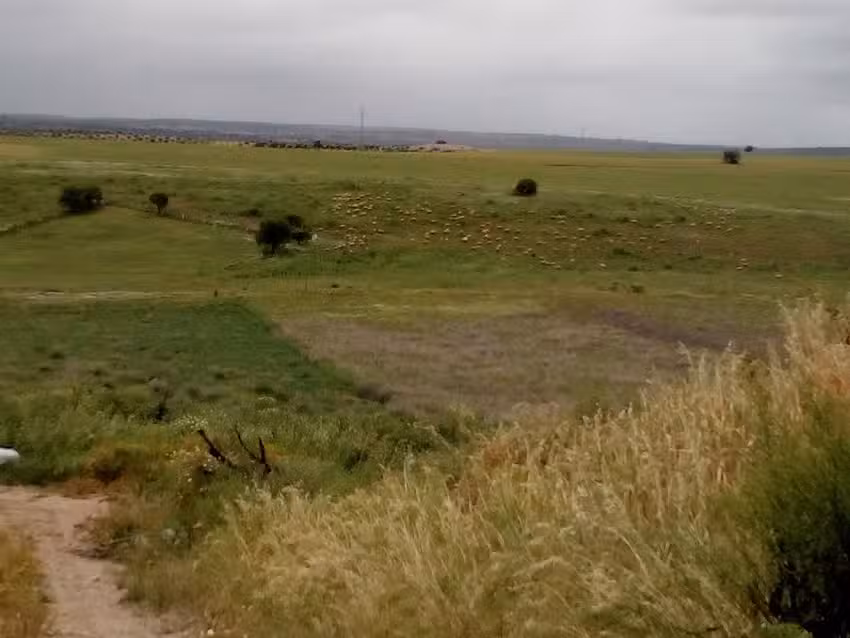 Feliciana Janeiro Bolos Do Alentejo Sociedade Unipessoal Lda