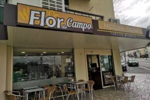 Flor do Campo