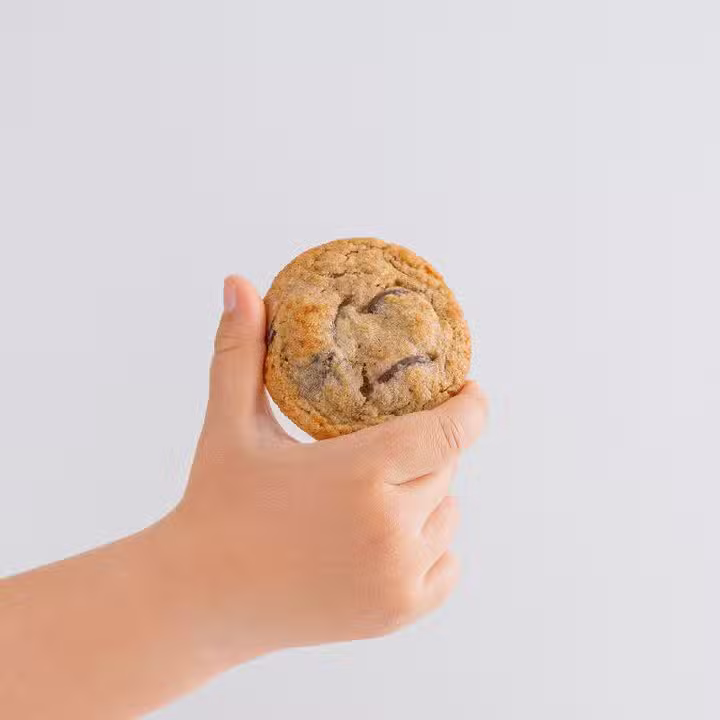 Gleba Vasco da Gama Padaria