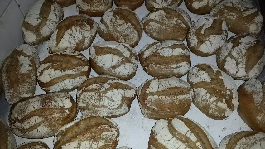 José Manuel Gomes Da Cunha Cª Lda