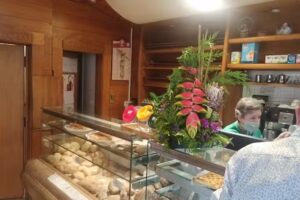 Ludgero Castro Nunes