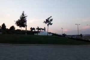 MFerreira Filhas Lda