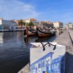 M1882 Maria da Apresentação da Cruz Herds