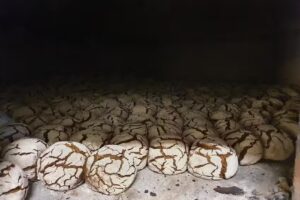 Maria Cristina Rocha Santos Indústria E Comércio De Panificação Lda