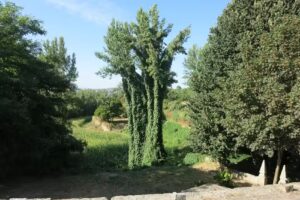 Moinho De Pão Padaria Pastelaria Lda