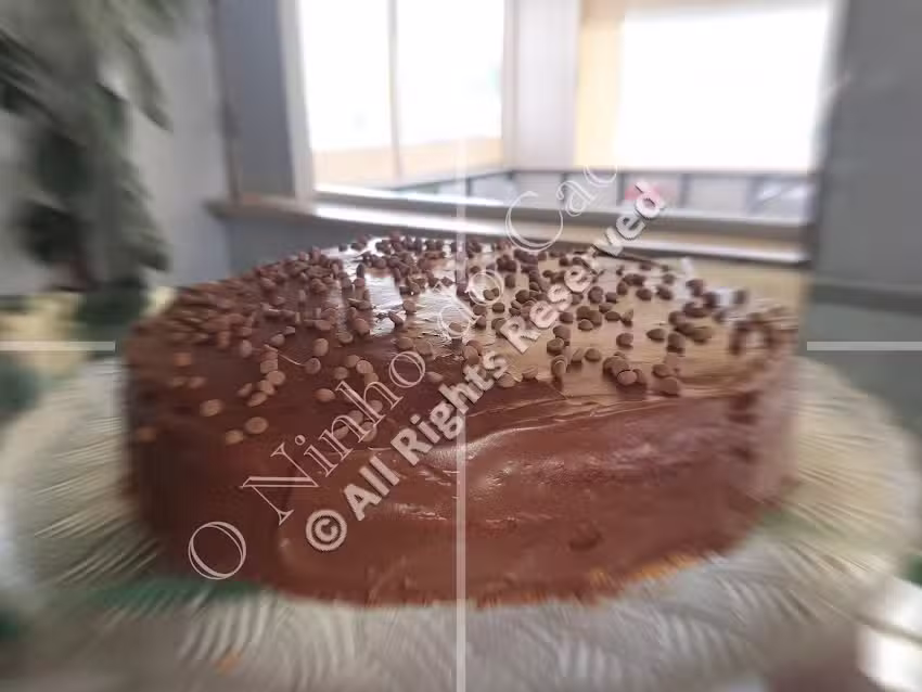 Ninho do Cacém