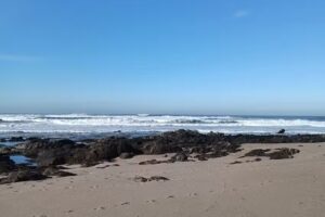 O Rei dos Croissants Valadares