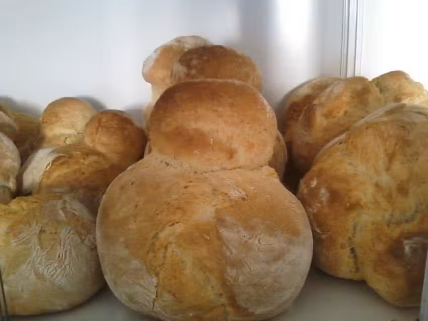 Padaria Antonio Jose Arimatia