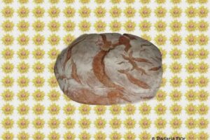 Padaria Flor Carvalho Gonçalves Filhos