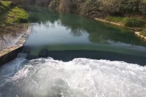 Padaria Moderna De Rodrigo Ferreira Subtil Lda