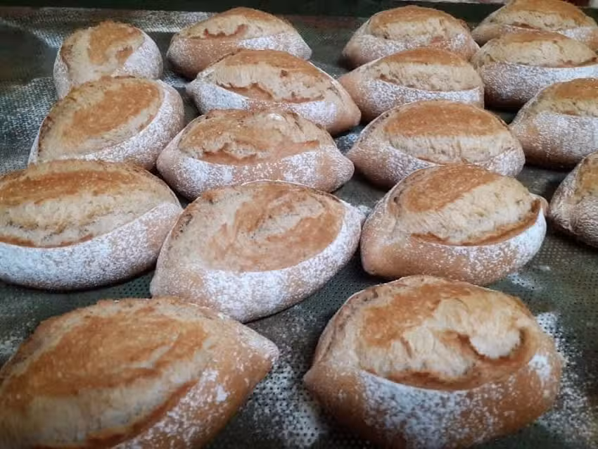 Padaria PaniloulePereira e Filhas