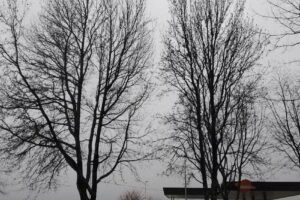 Padaria Planeta Azul