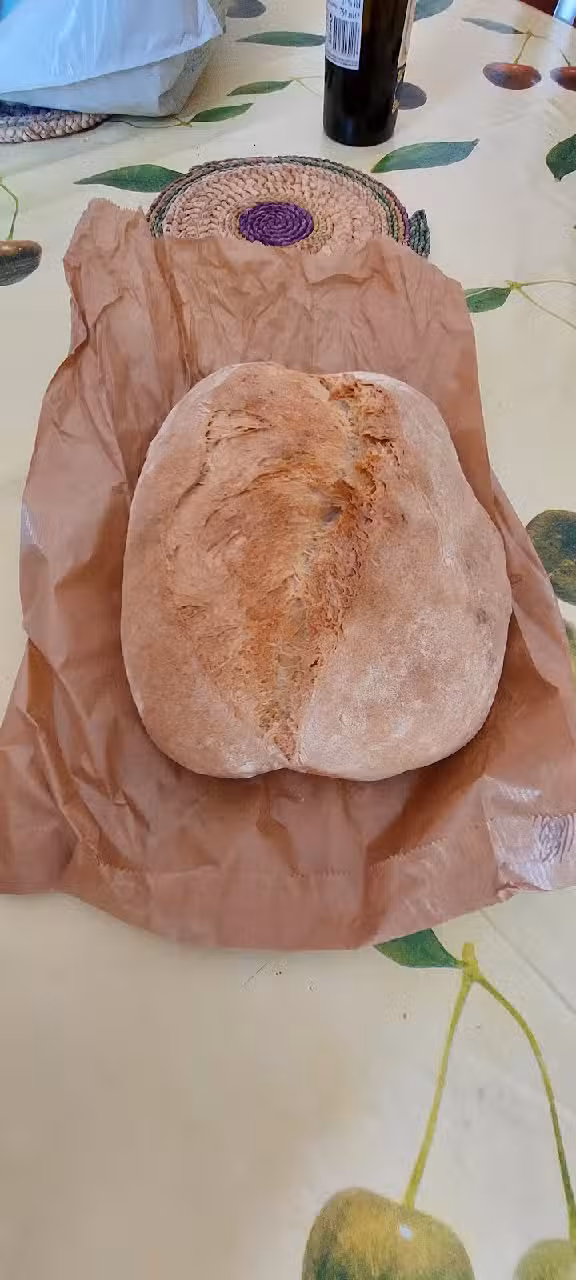 Padaria Produtos Regionais Nelibruno