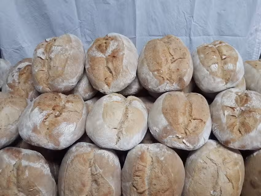 Padaria Vale Formoso