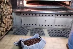 Padarias da Portelinha de Matias Duarte Amorim Lda