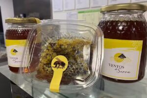 Panichance Indústria de Panificação Lda