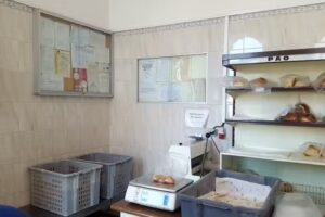 Panificadora Os Três Albinos