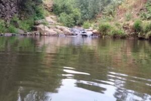 Panlar Industria De Panificação Lda