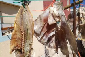 Pastelaria António M Luz Reis