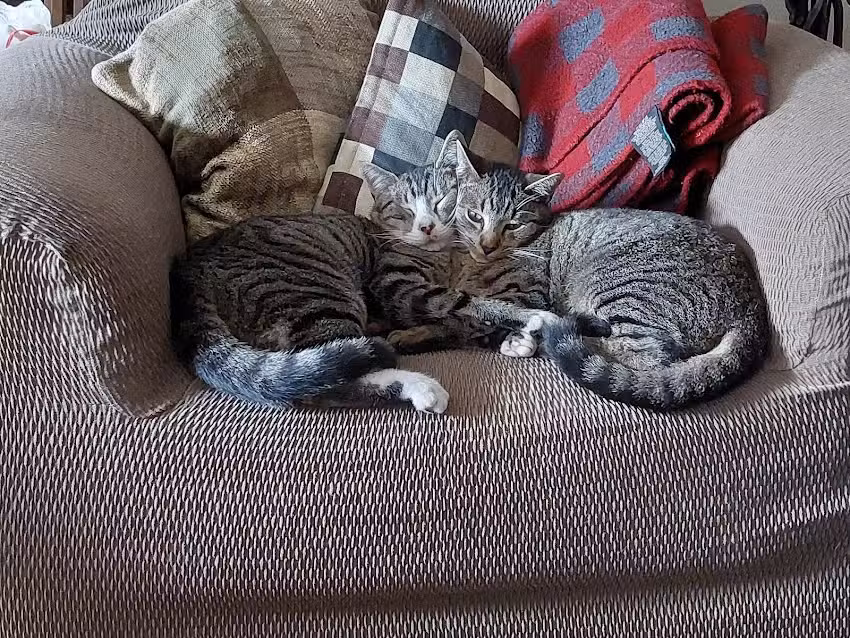 Pastelaria Cruzeiro 93