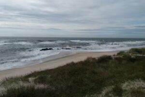 Pastelaria do Castelo amorosa