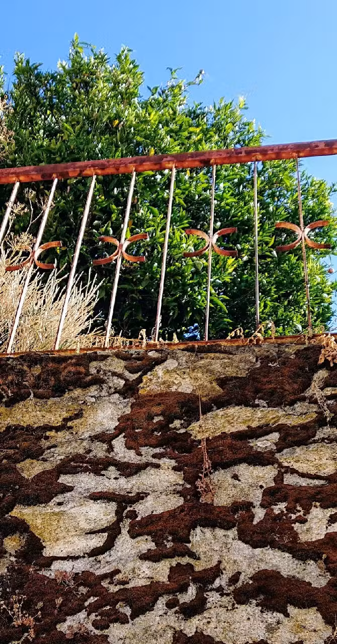 Pastelaria Fundação Lda