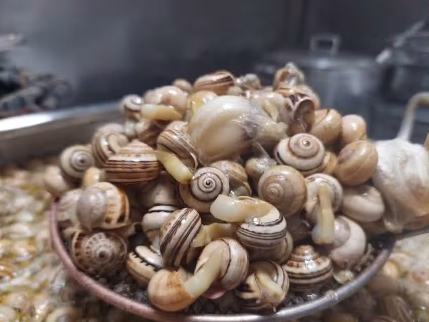Pastelaria Golfinho