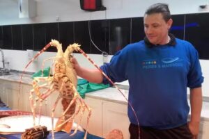 Pastelaria Guadiflor