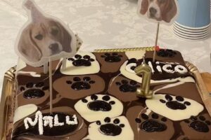 Pastelaria Leveza Genial