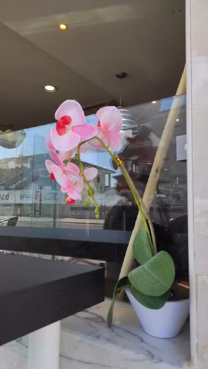 Pastelaria Nova Bergló