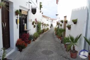 Pastelaria Santa Comba