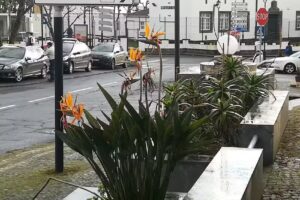 Pastelaria Senhora do Pão Capelas