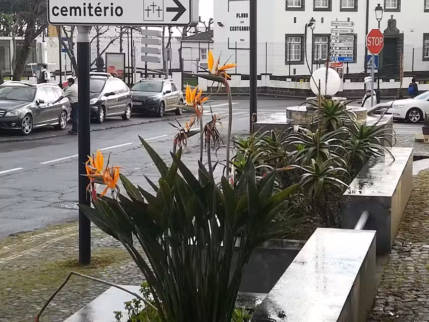 Pastelaria Senhora do Pão Capelas