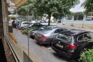 Pastelaria Tozé Lda