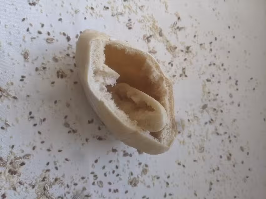 Pita e Pão