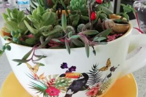 Quinta de São Pedro