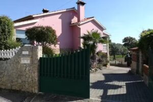 Rosa Maria Alves Homem Damásio