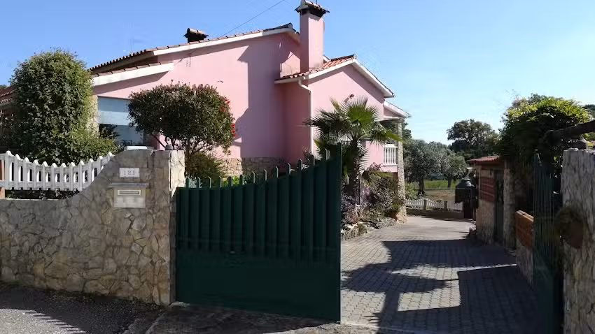 Rosa Maria Alves Homem Damásio