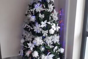 Snack Bar Silva Prato do dia