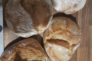 Sonipão De Sobrosa Araujo Lda